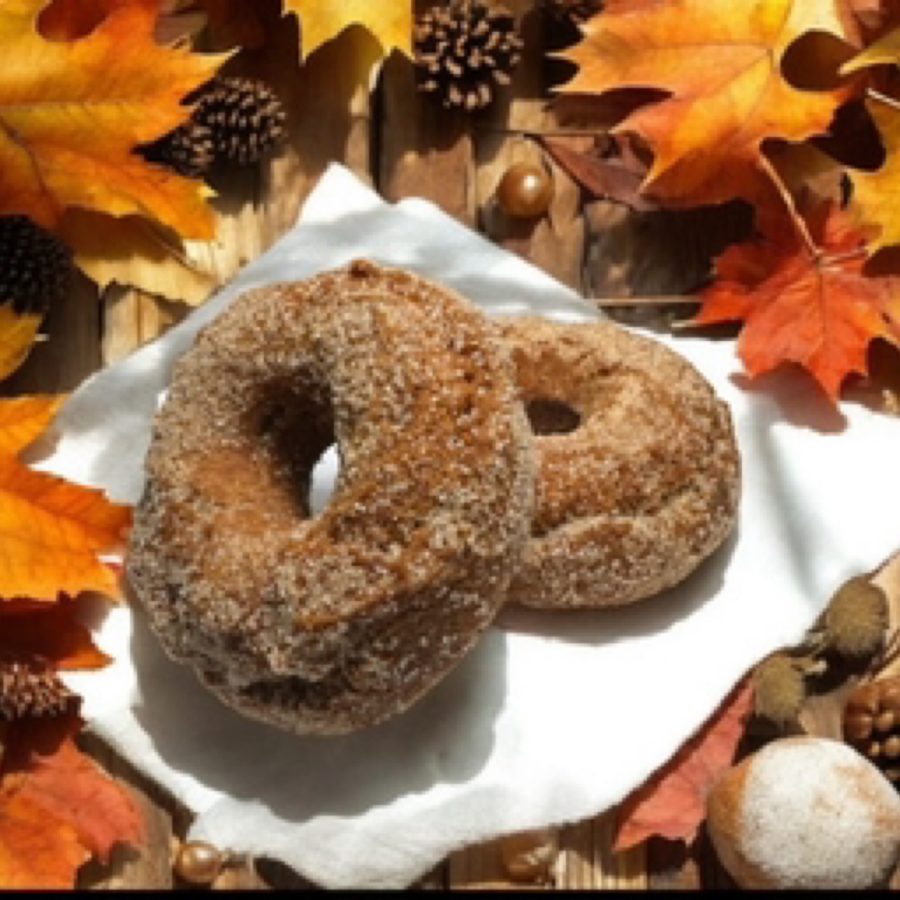Apple Cider Cake Donuts