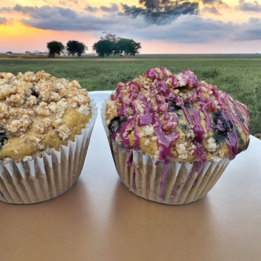 Jumbo & Regular Muffins